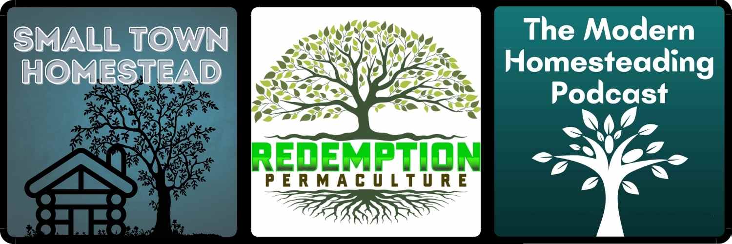 Redemption Permaculture at The Small Town Homestead